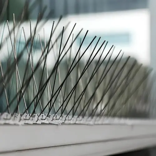 Superior Netting Premium Quality Anti Bird Spikes at Best Prices in Bangalore (Bengaluru) and Throughout Karnataka