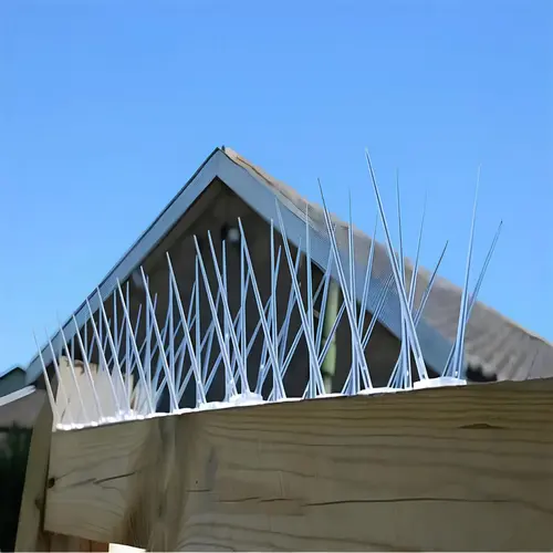 Superior Netting's Premium Quality Anti Bird Spikes at Best Prices in Bangalore and Throughout Karnataka