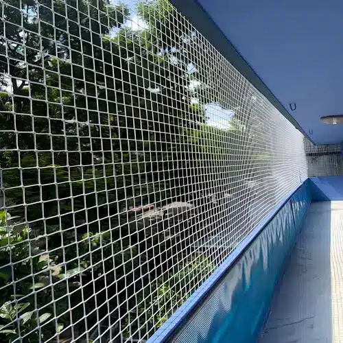 Superior Netting's Premium Quality Pigeon Netting Services in Bangalore (Bengaluru) and Throughout Karnataka