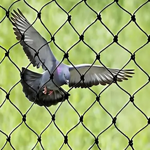 Superior Netting's Premium Quality Pigeon Netting Services in Bangalore and Throughout Karnataka